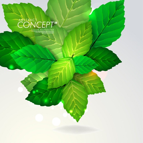 Green Leaf Vector