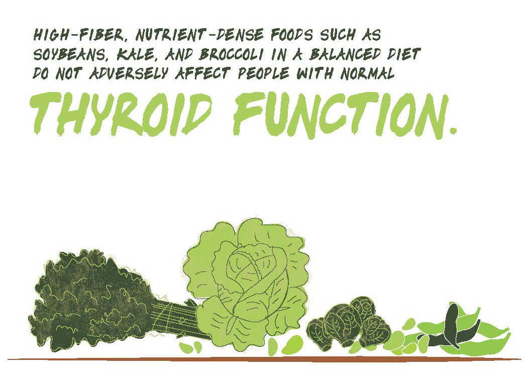 High-Fiber Diet Infographic High-Fiber Diet Infographic