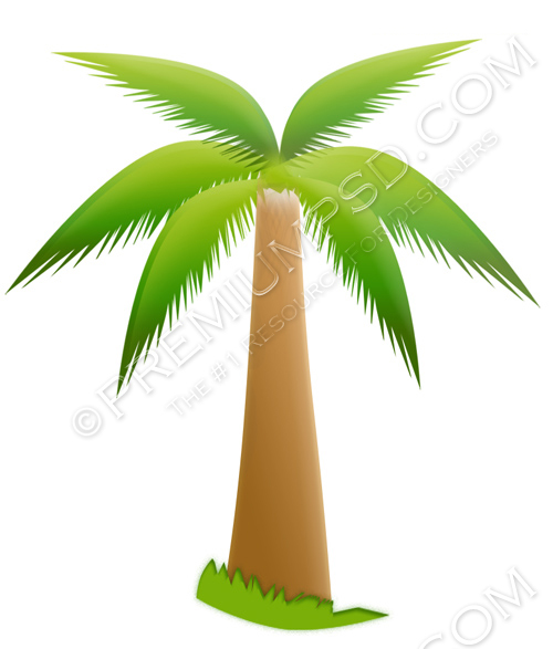 High Resolution Palm Trees