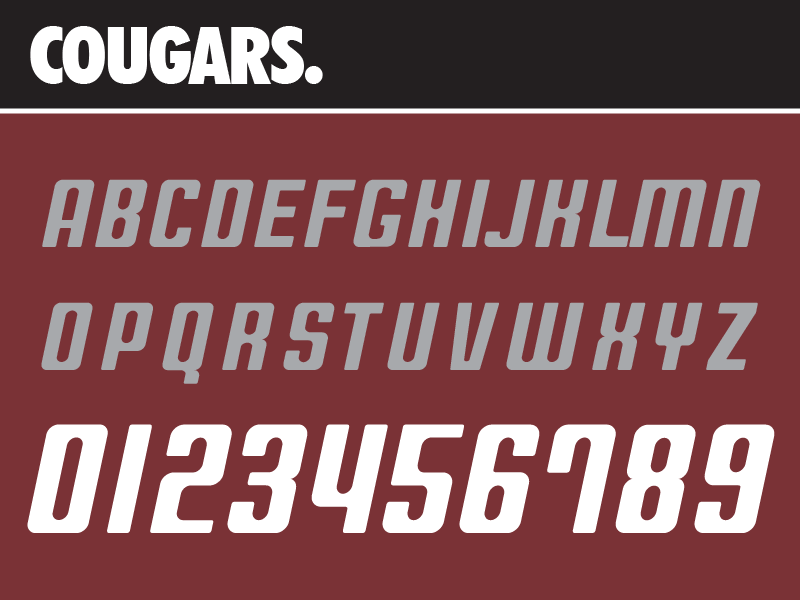 Michigan State Font Nike