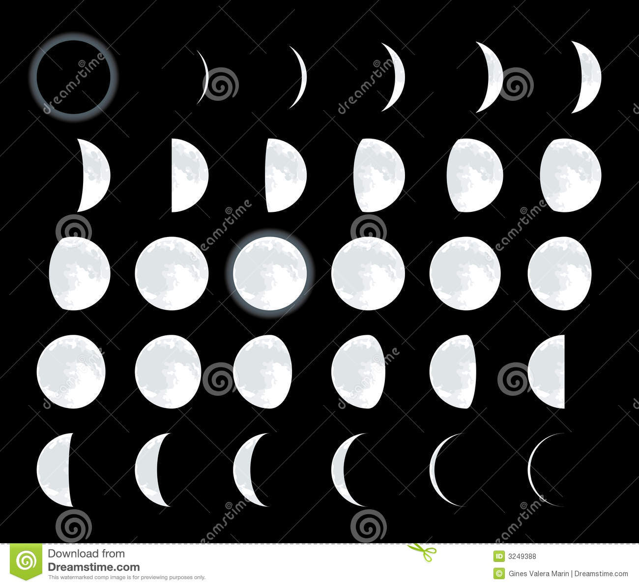 Moon Phases Vector