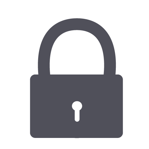 Password Security Icon