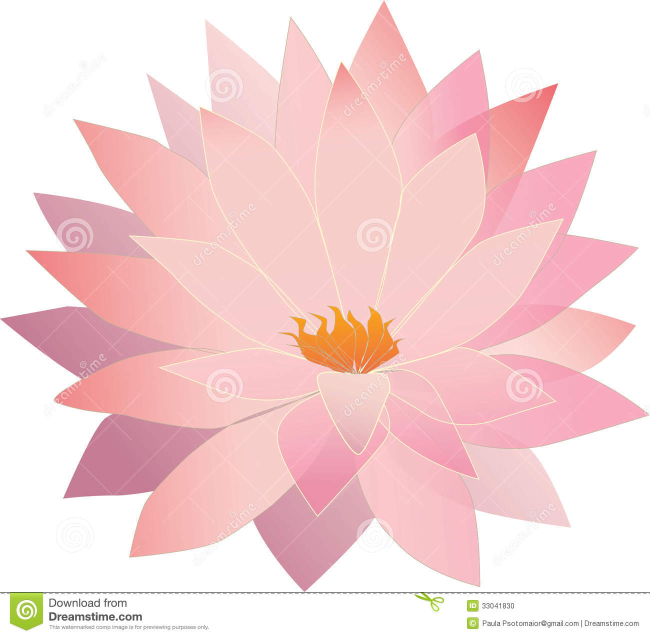 Pink and Purple Lotus Flower