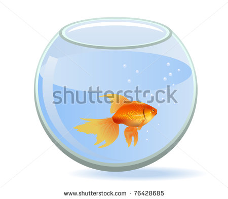 Round Glass Fish Tank