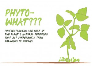 Soy Phytoestrogen Men Soy Phytoestrogen Men