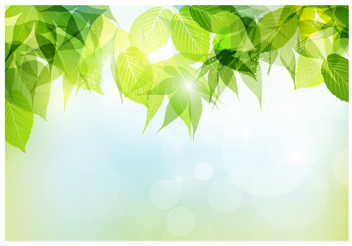 Spring Vector Background Spring Vector Background