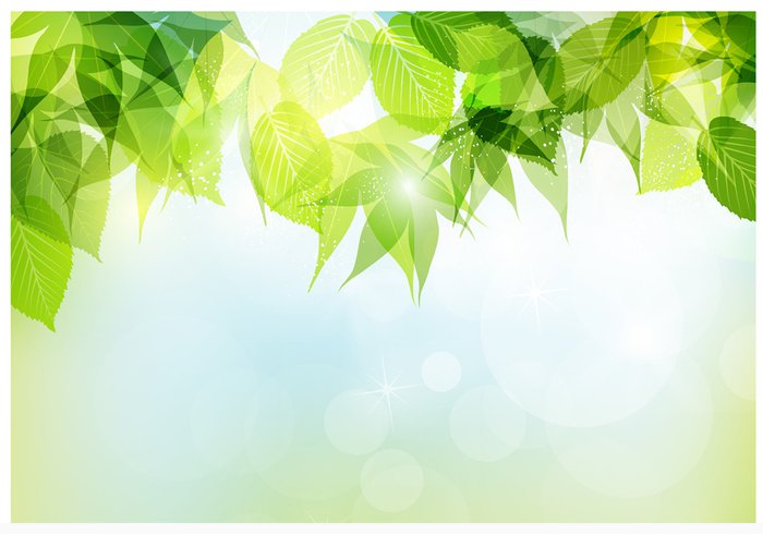 Spring Vector Background