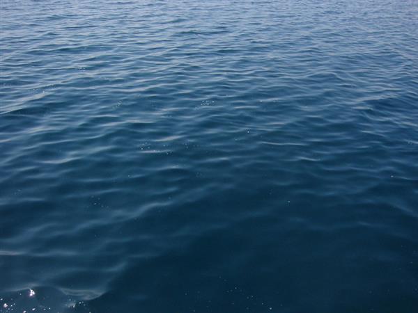 Surface Ocean Water Texture