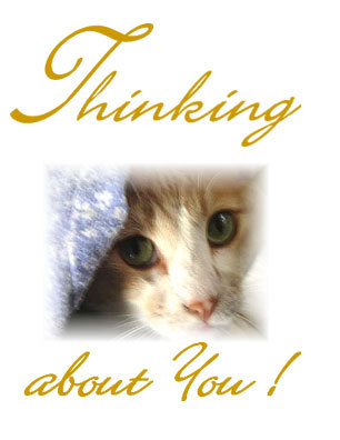 Thinking About You Graphics