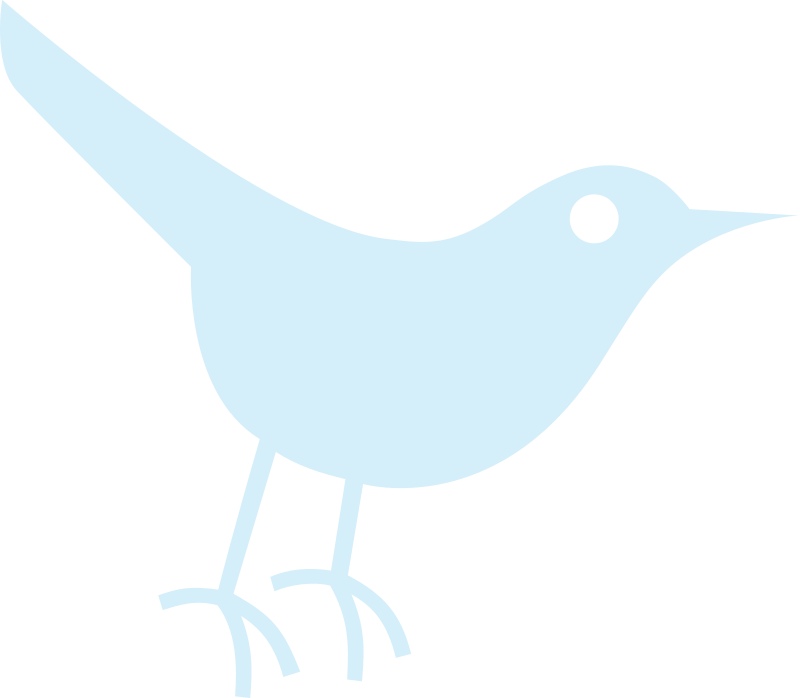 Twitter Bird Icon