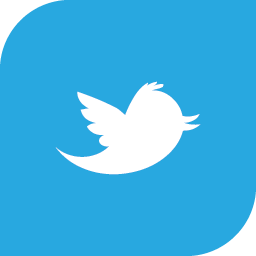 Twitter Logo Icon