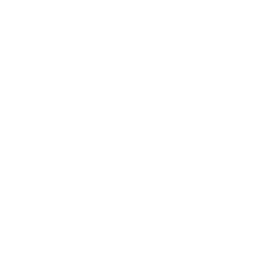 White Lock Icon Padlock