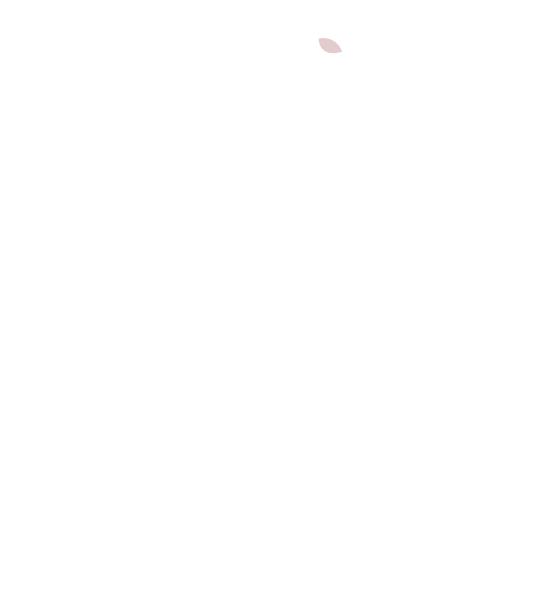 White Transparent Apple Logo
