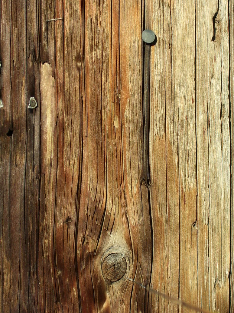 Wood Texture