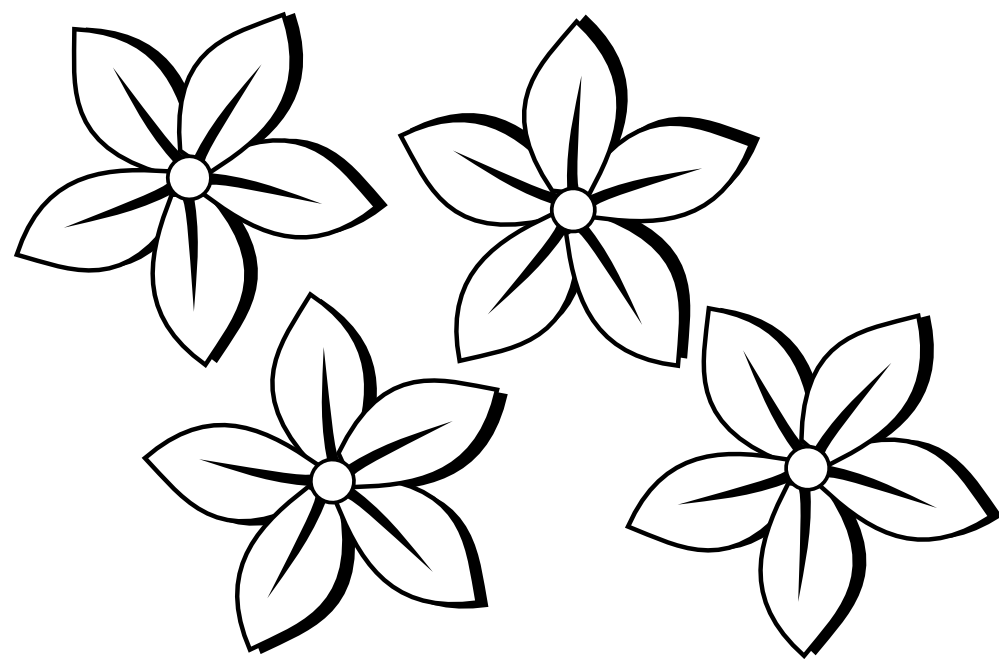 Black and White Flower Line Drawings