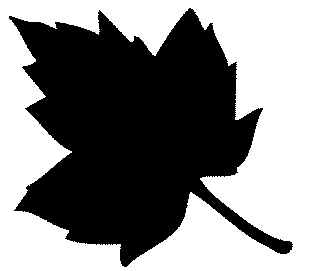 Black and White Leaves Clip Art