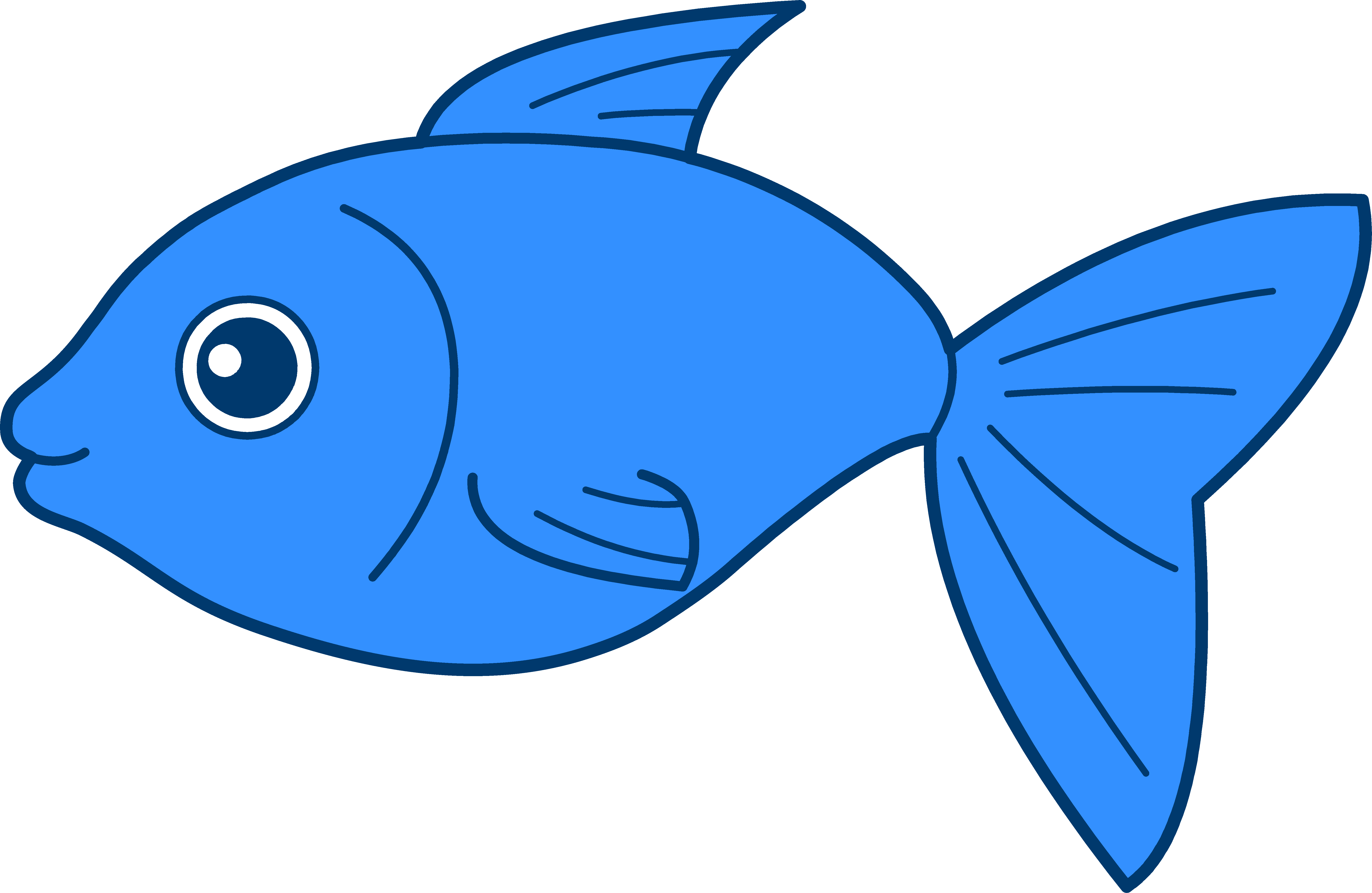 7 Fish Graphic Design Images