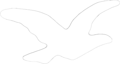 Brick Squad Bird Logo