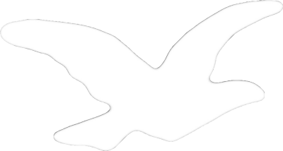 Brick Squad Bird Logo Brick Squad Bird Logo