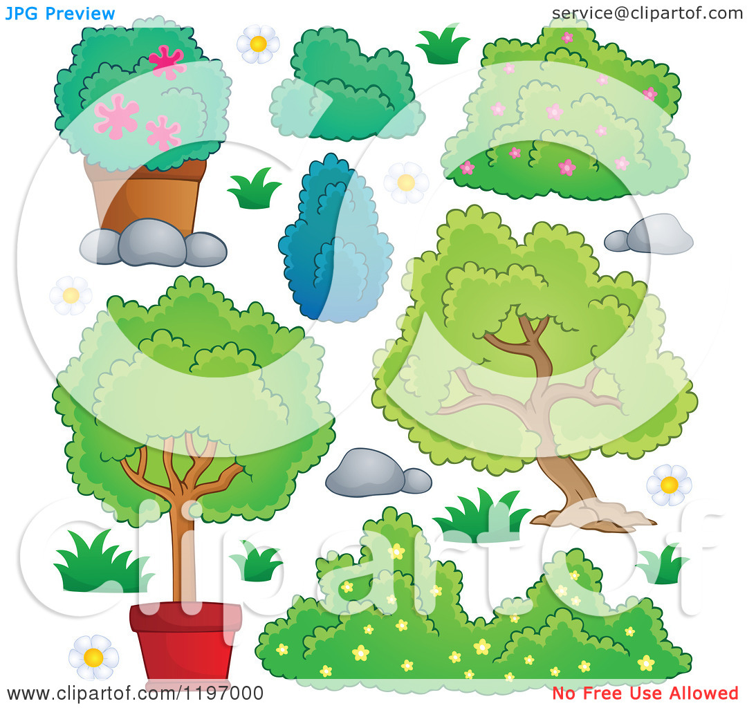 Cartoon Bushes and Shrubs