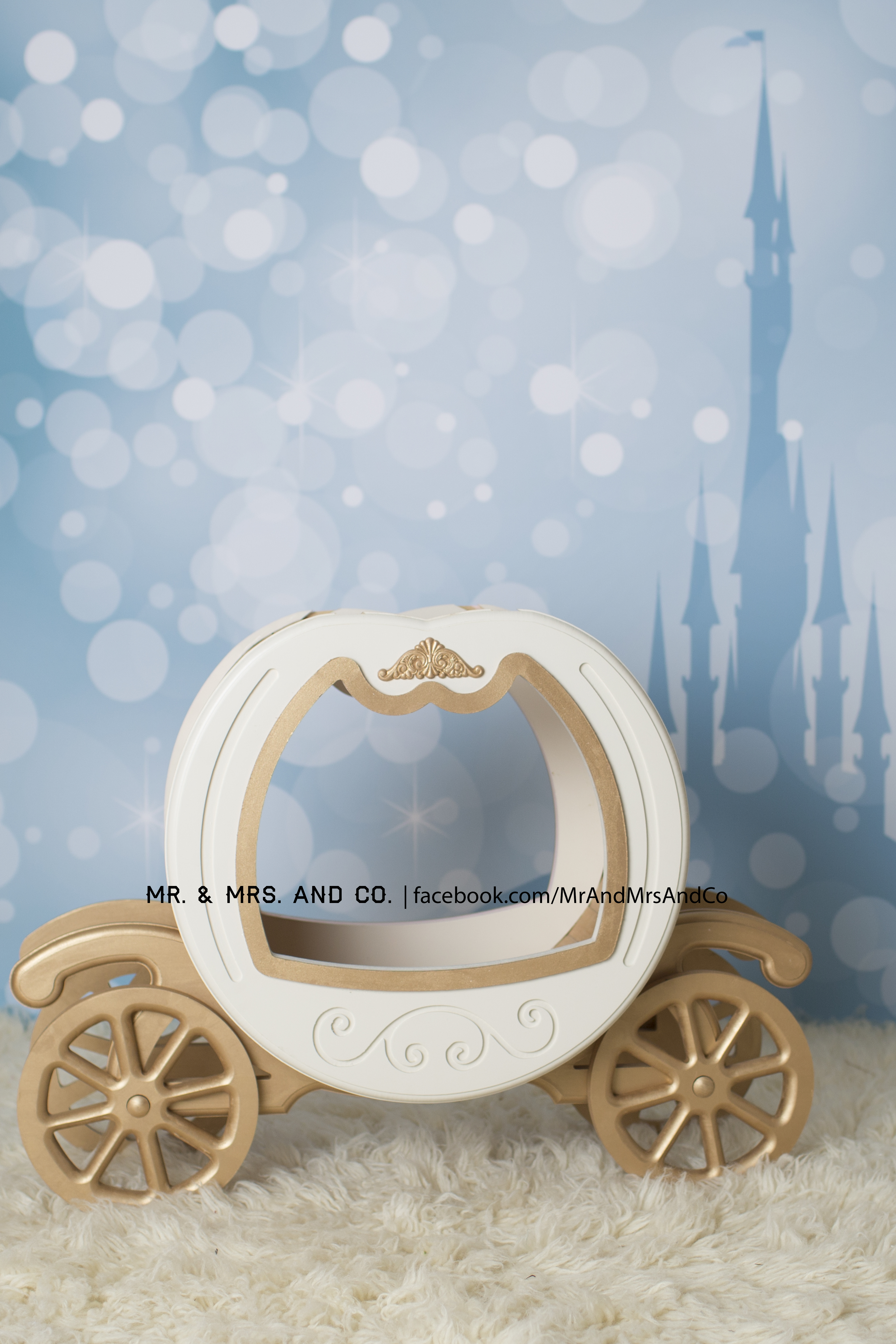 Cinderella Carriage Newborn Prop