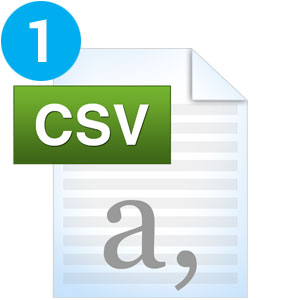 CSV File Icon