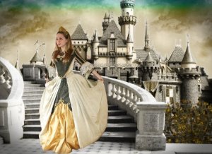 Digital Princess Photography Backdrops