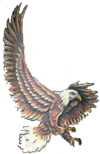 Eagle Tattoo Designs Drawings Eagle Tattoo Designs Drawings