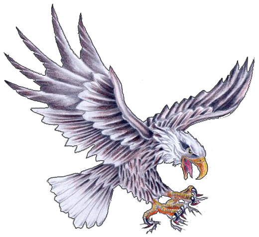 Eagle Tattoo Designs