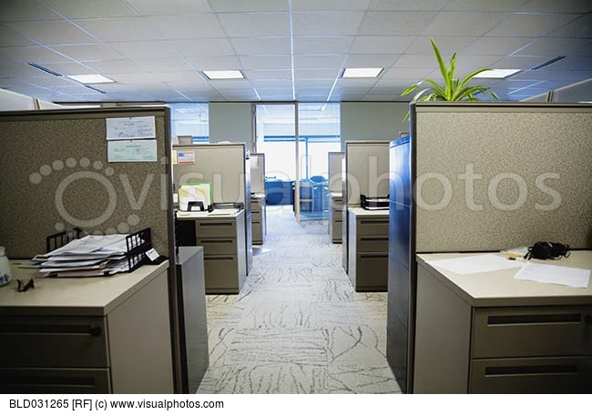 Empty Office with Cubicles