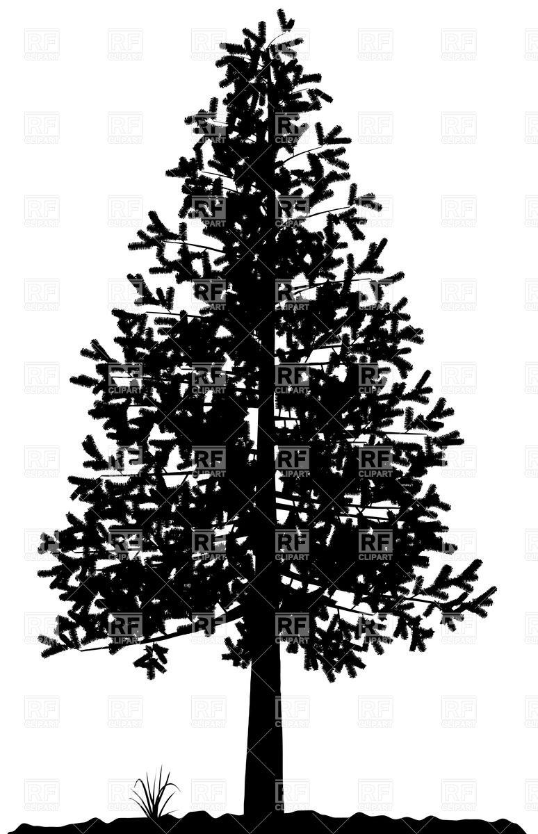 Fir Tree Silhouette Clip Art