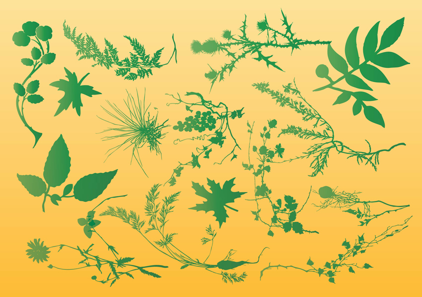 Free Plant Vector Graphics