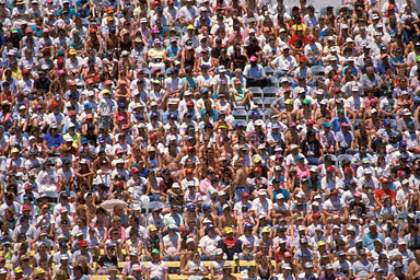 Free Stock Photo Stadium Crowd