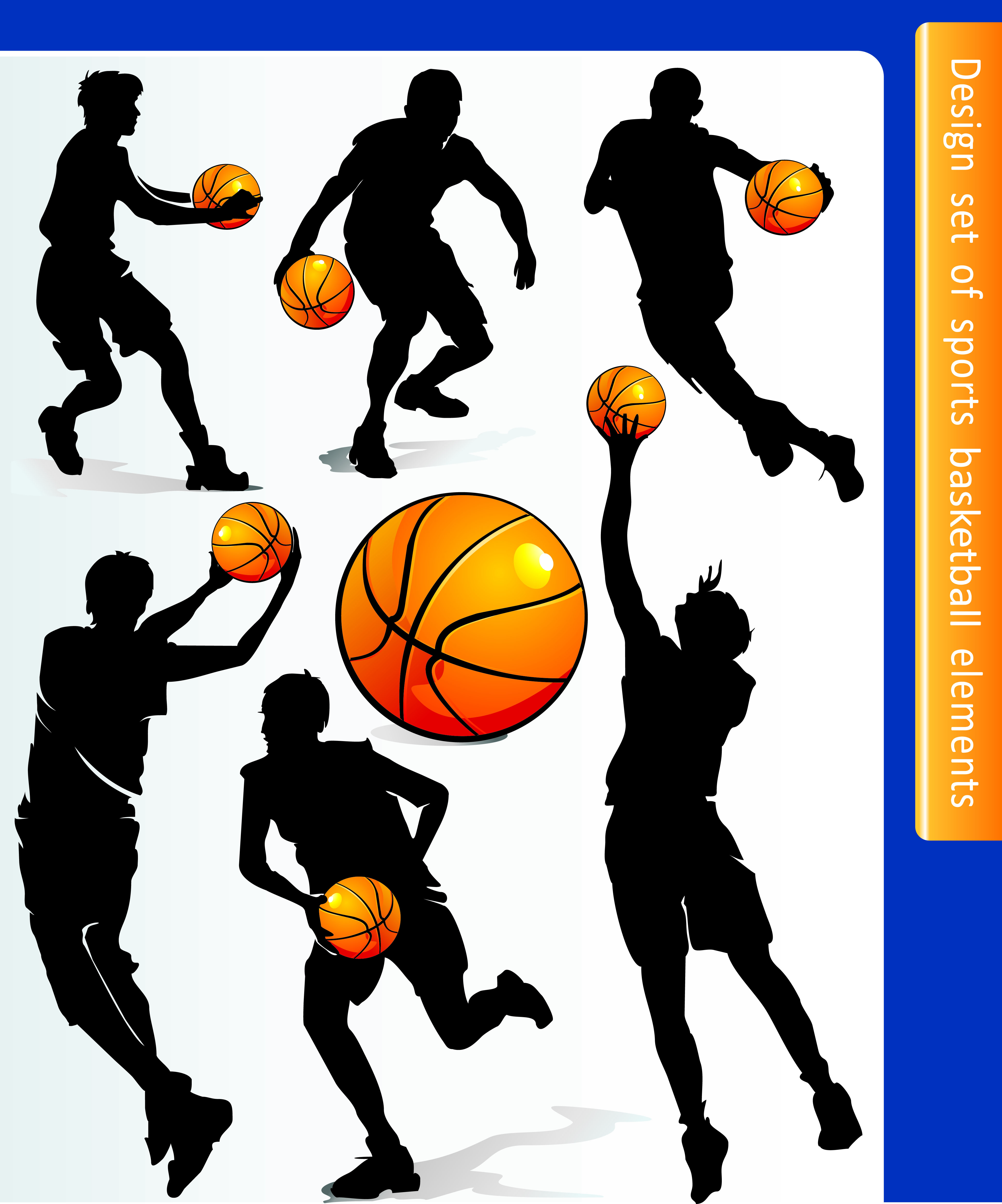 Free Vector Basketball Design