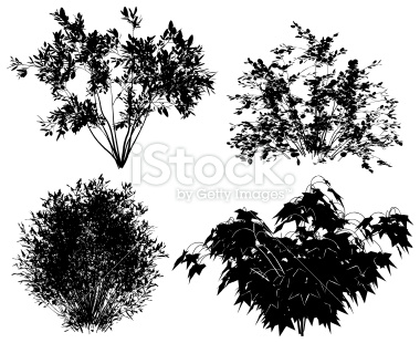 Free Vector Bushes