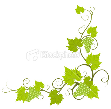 Grape Vine Border Clip Art Free