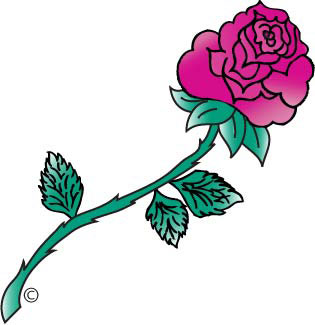 Graphic Rose Design