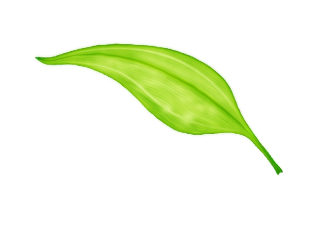 Green Leaf Icon