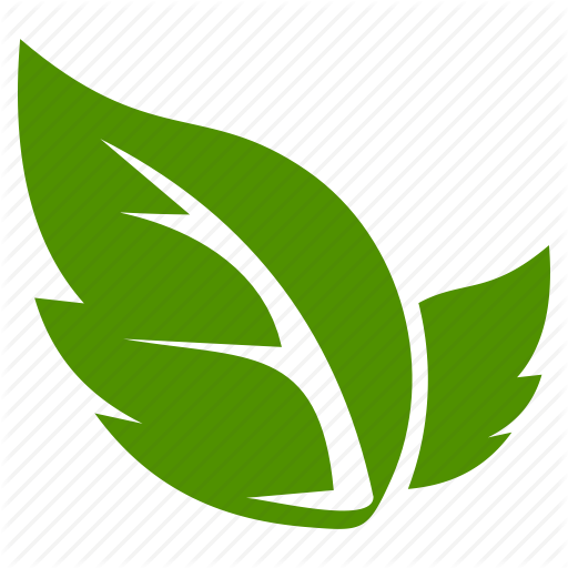 Green Leaf Icon