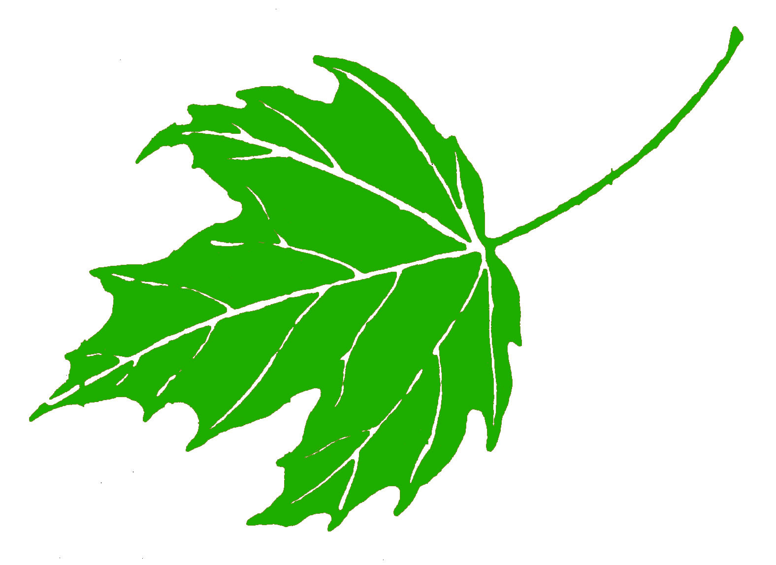 Green Maple Leaves