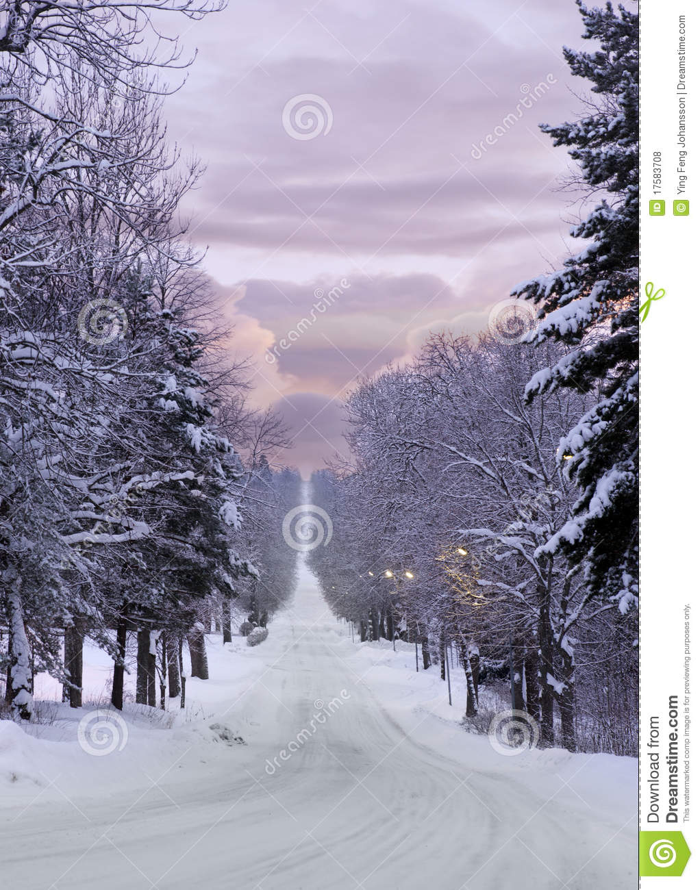 Long Narrow Road Long Narrow Road