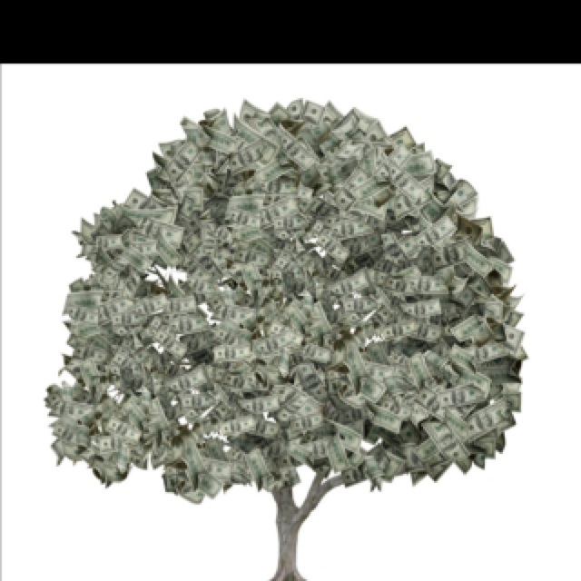 Money Tree