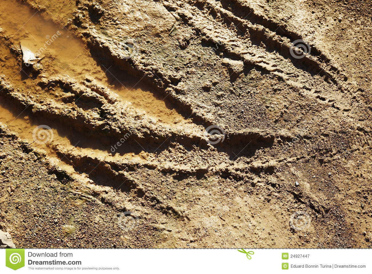 Mountain Bike Tracks in Mud