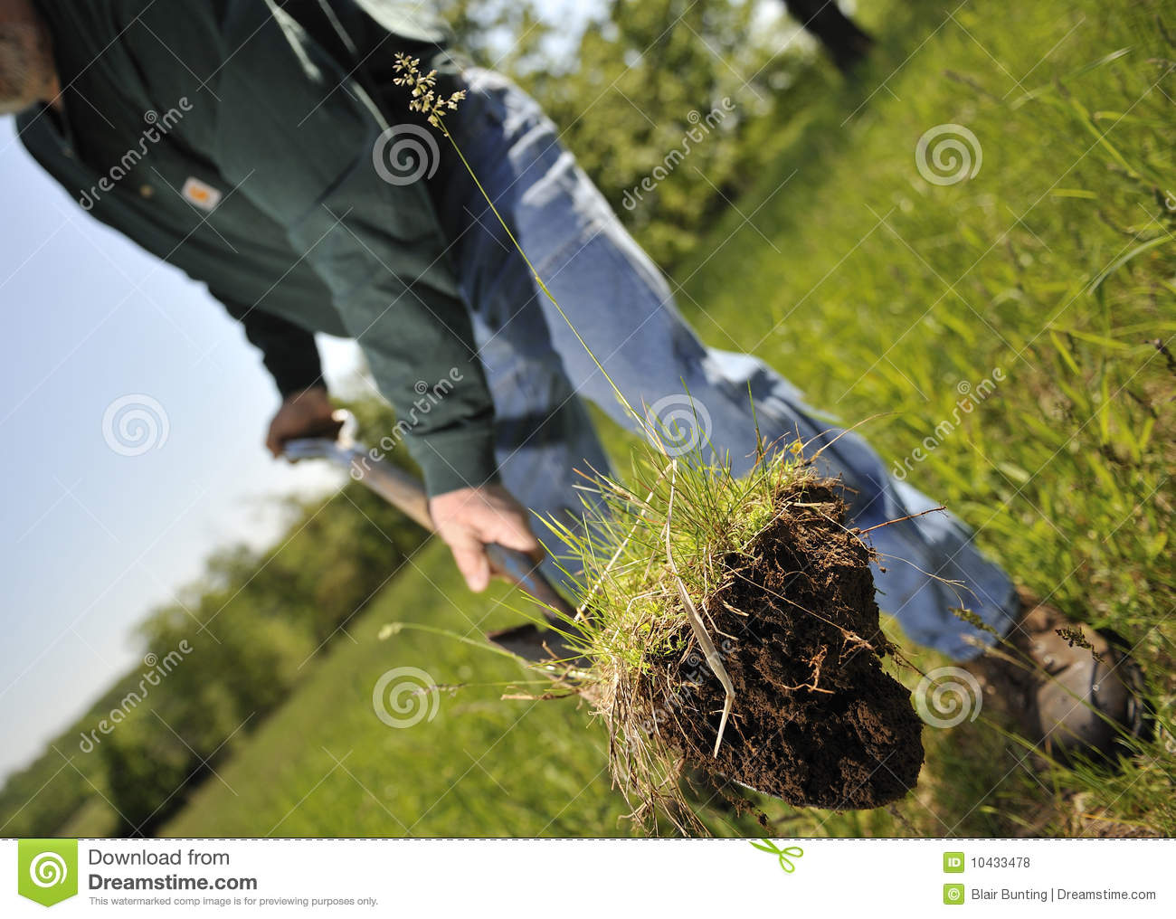 Person Planting Tree