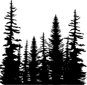 Pine Tree Forest Silhouette