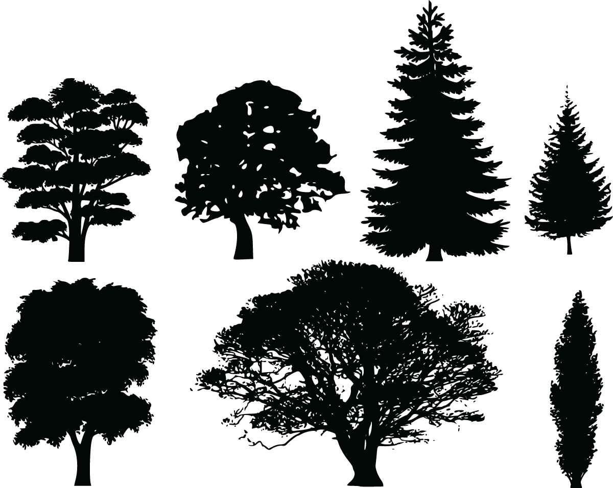 Pine Tree Silhouette Clip Art Free