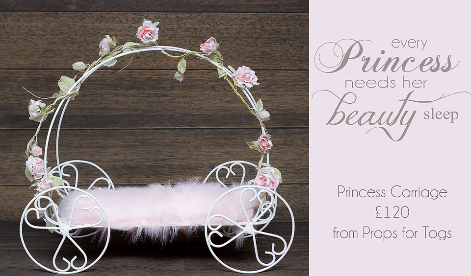 Princess Carriage Newborn Prop Photography