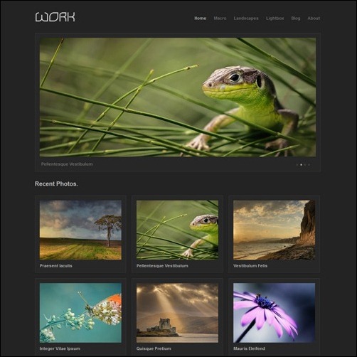 Professional Photography Website Templates