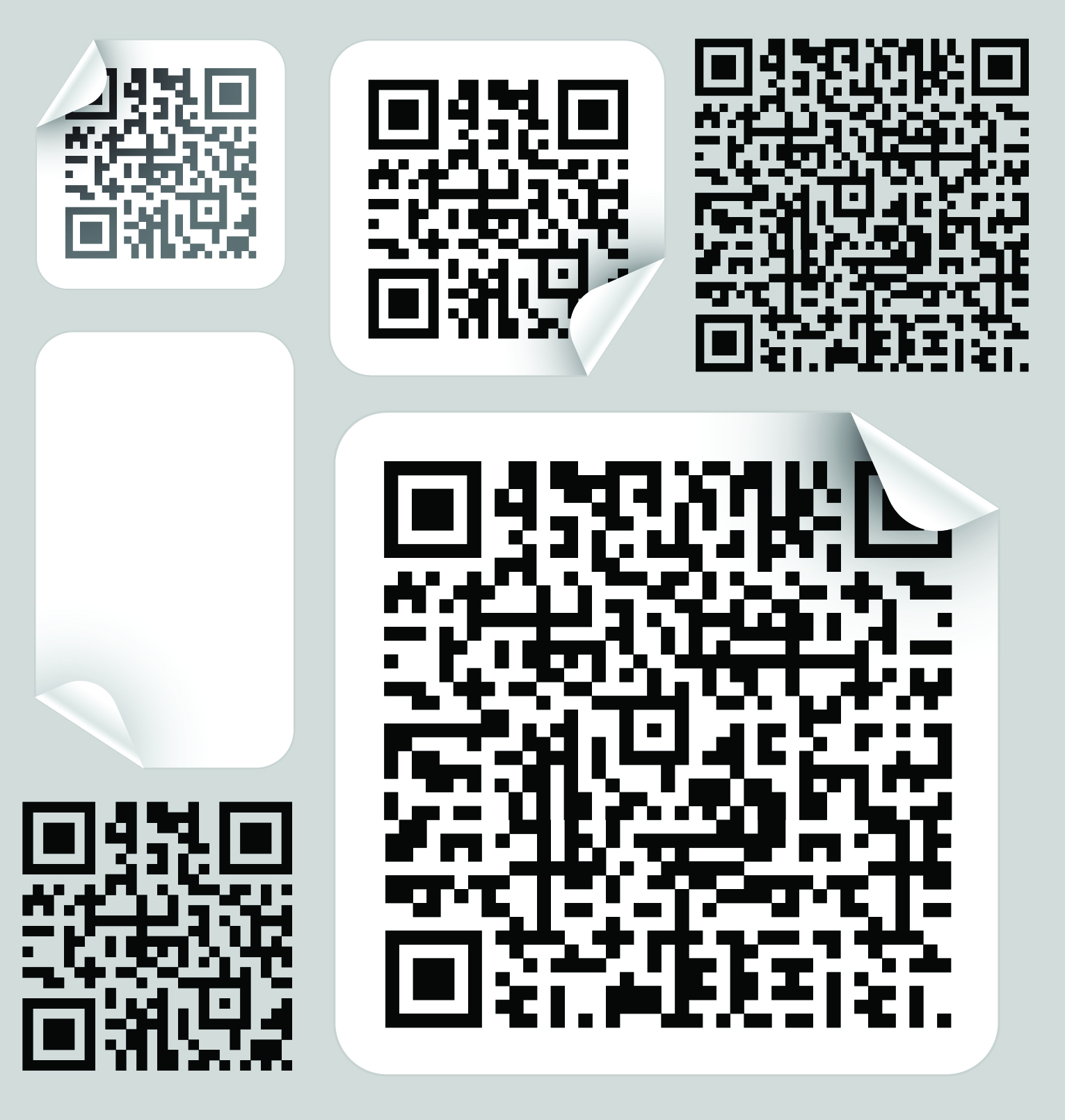 QR Bar Code Label