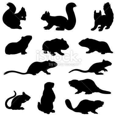 Rodent Silhouette